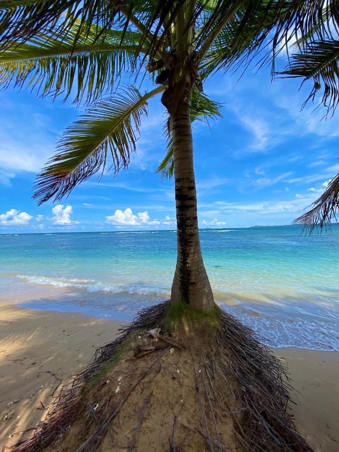 Cozy Beach Apartment Luquillo Extérieur photo